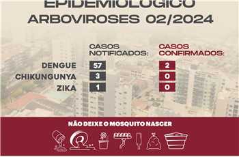 Informativo dengue